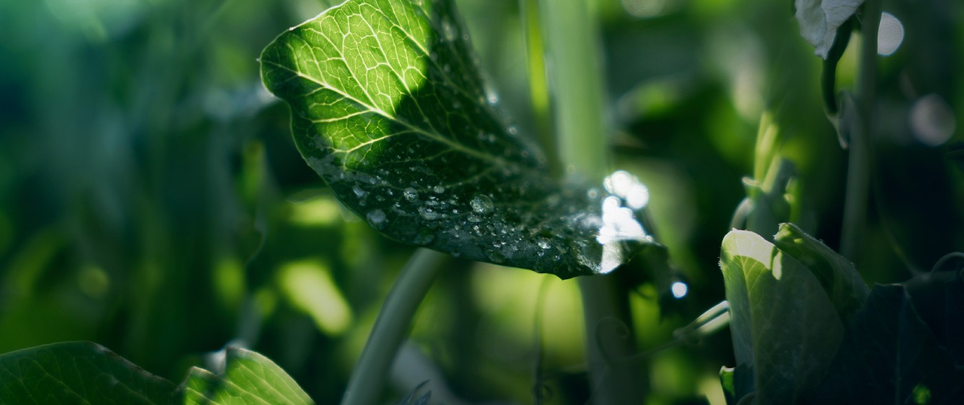 Future Proof Farming (Jura)