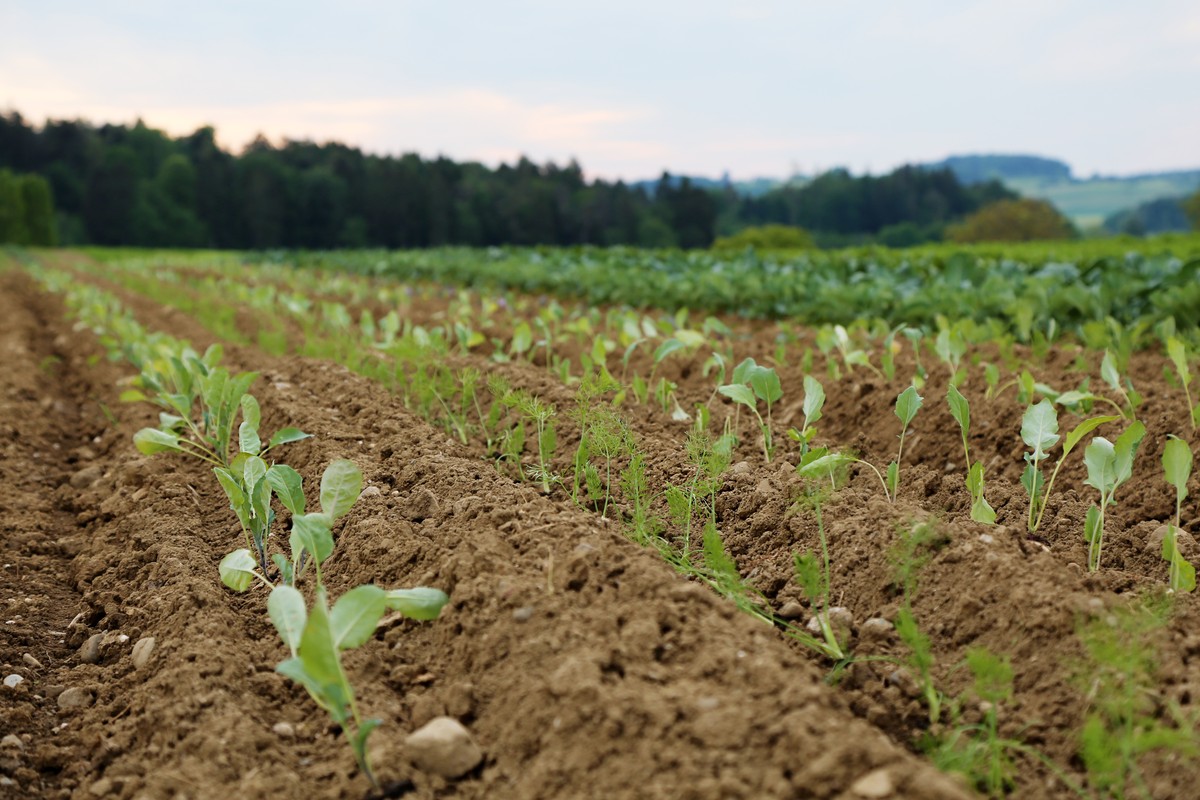 Zukunftsgerichtete Landwirtschaft