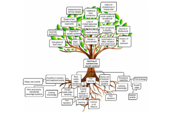 Problem Tree Analysis – Fallbeispiel Nährstoffüberschuss im Wasserkreislauf