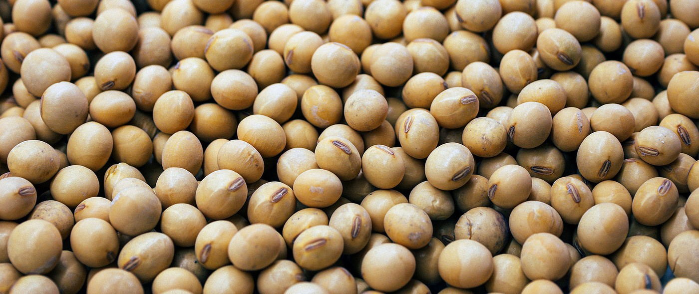 Proteins4Future