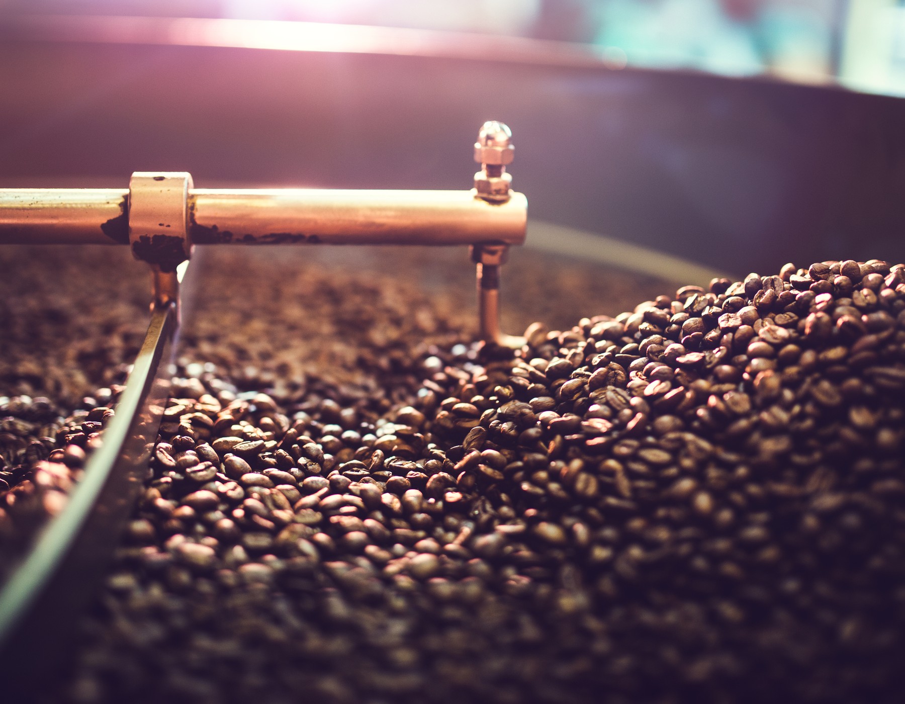 Image of Quelle est l'influence de la fermentation des cerises de café sur la qualité ?